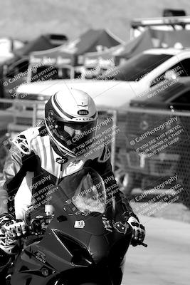 media/Mar-24-2023-Apex Assassins (Fri) [[54485cb5ff]]/Around the Pits/